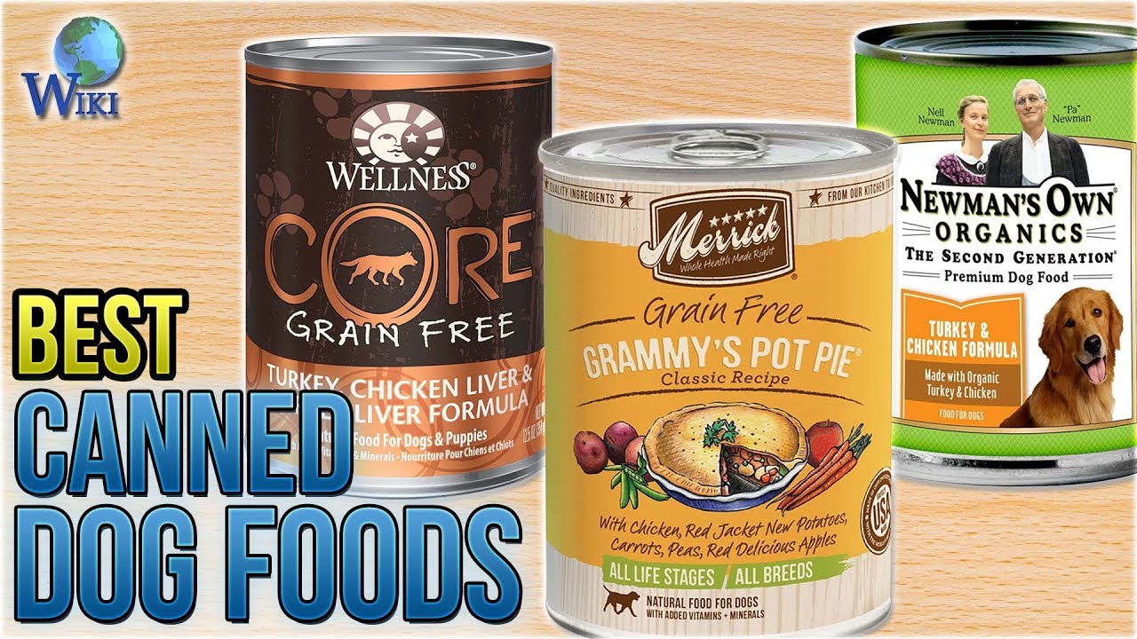 Best Canned Dog Foods and Guide (2020 Updated)